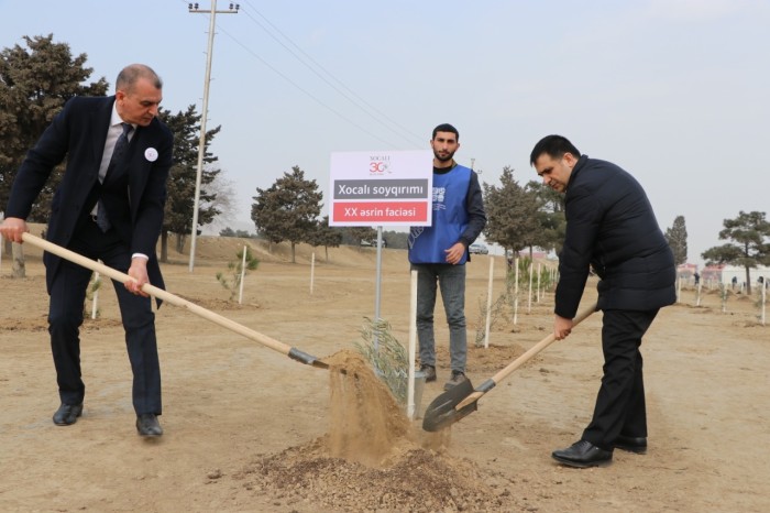 Xocalı qurbanlarının xatirəsinə həsr olunmuş ağacəkmə aksiyası keçirildi - FOTOLAR